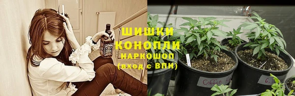 трава Краснослободск