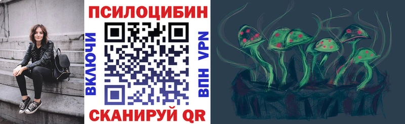 Псилоцибиновые грибы мухоморы  купить наркотики цена  Новочебоксарск 