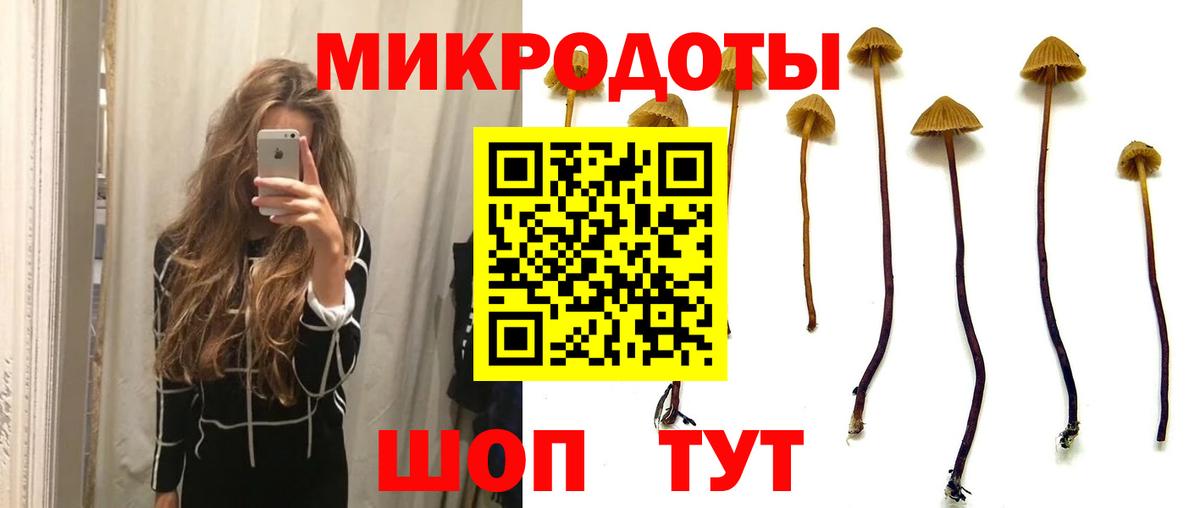 Псилоцибиновые грибы Magic Shrooms Новочебоксарск